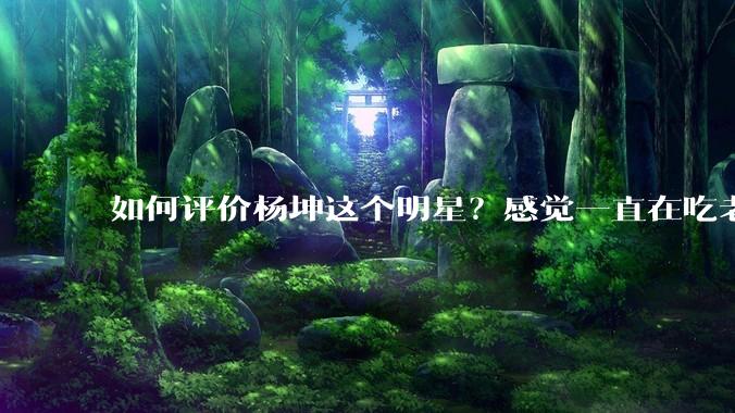 如何评价杨坤这个明星？感觉一直在吃老本，就那么几首歌？